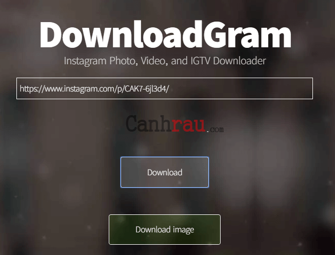 5 cách download, tải hình ảnh trên Instagram về máy tính, điện thoại 2020